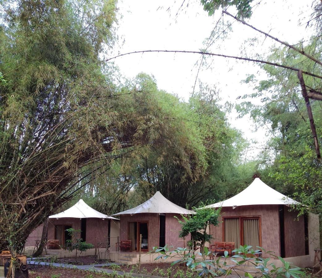 Jawa Jiwa G-Land Resort Dadapan ภายนอก รูปภาพ
