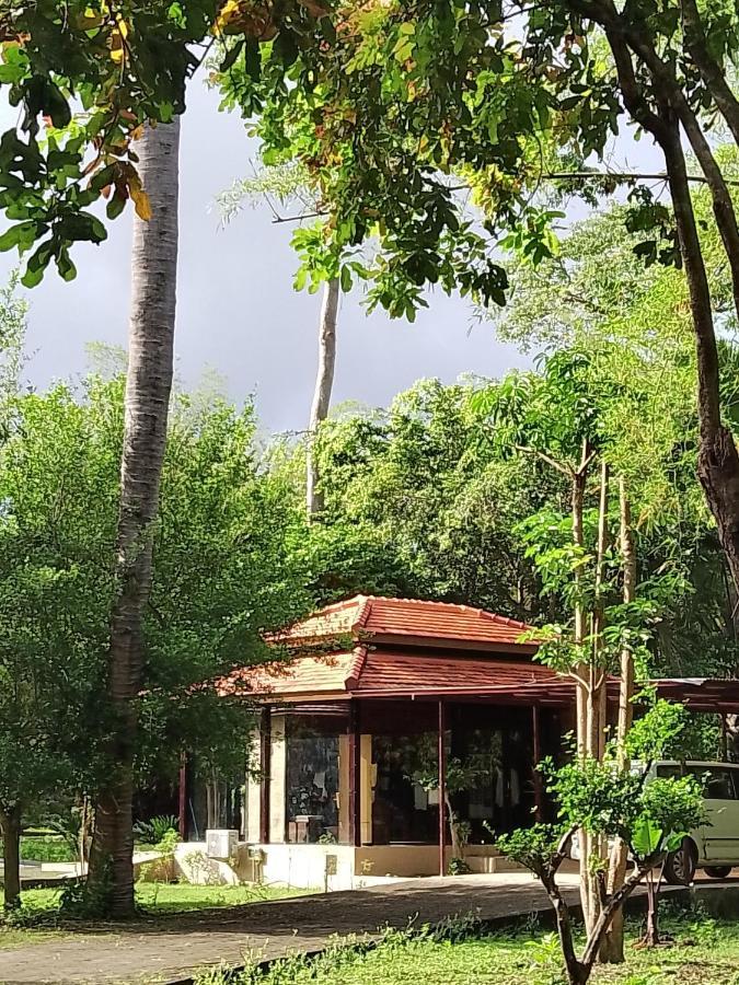 Jawa Jiwa G-Land Resort Dadapan ภายนอก รูปภาพ