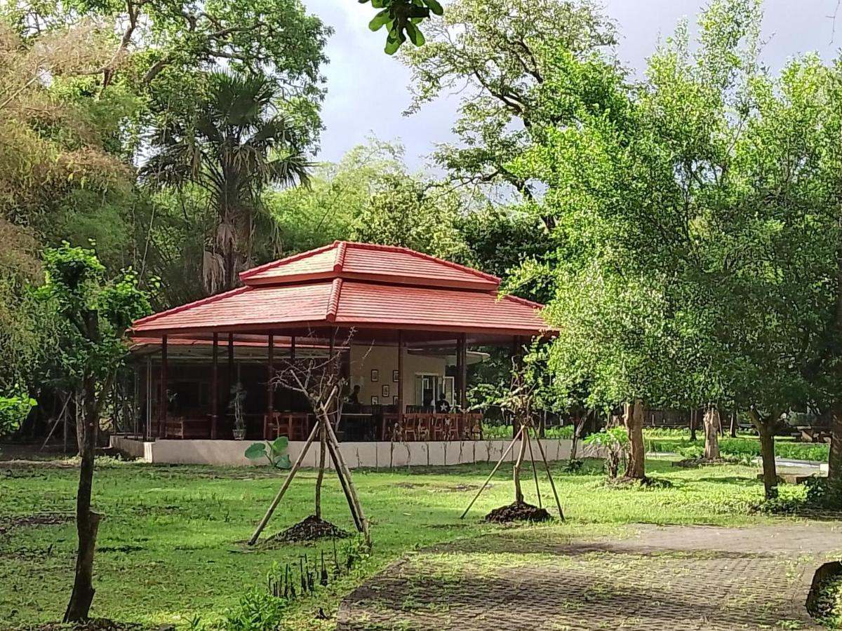 Jawa Jiwa G-Land Resort Dadapan ภายนอก รูปภาพ